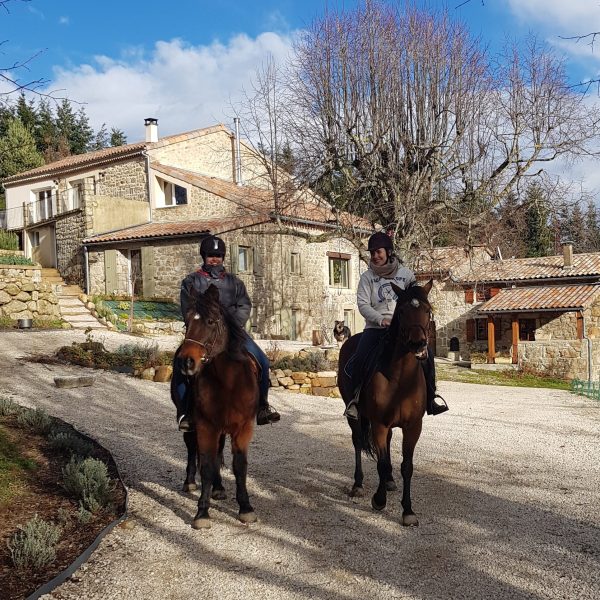 chevaux-e1620747724400 (1)